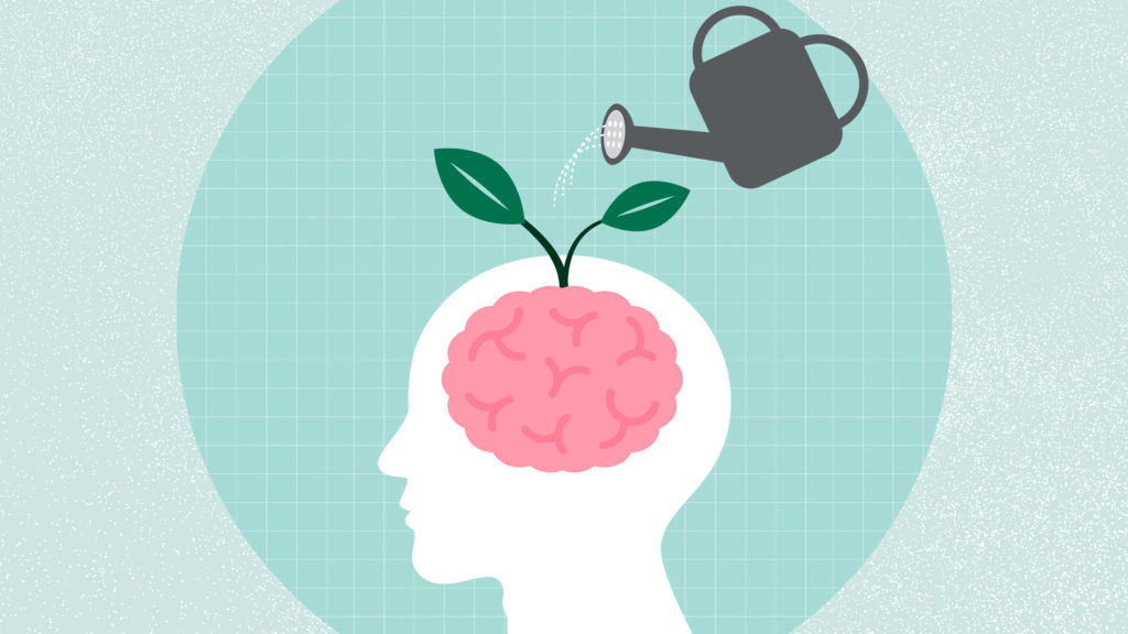 Brain Health Daily tips